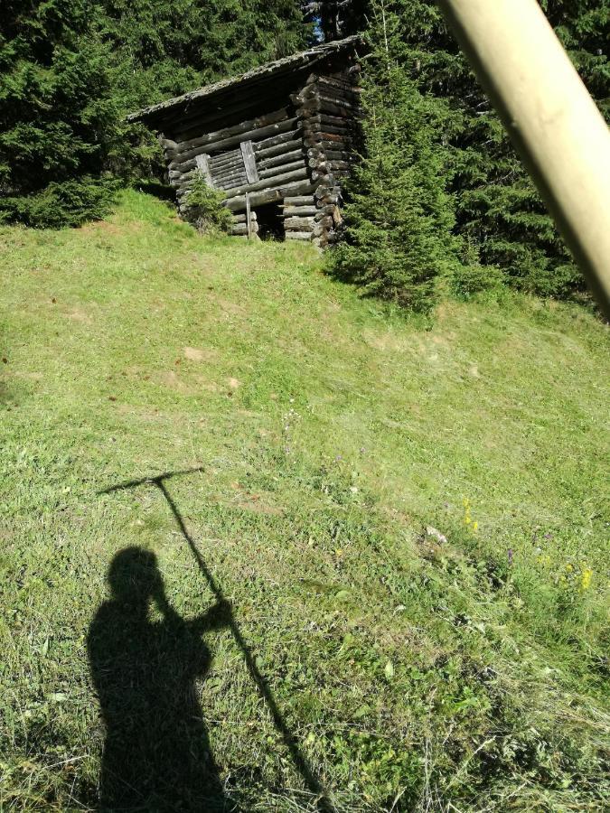 Ferienwohnung Bichlerhof Hopfgarten in Defereggen Exterior foto